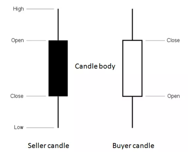 What Is Price Action in Forex? - img 2