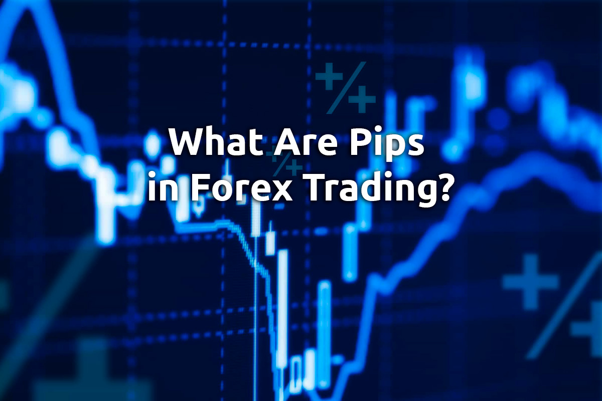 What is pips in Forex trading?